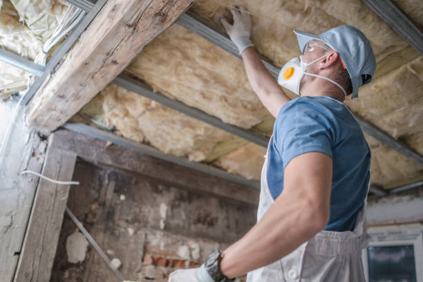 Best Best Insulation Companies  in Rendon, TX