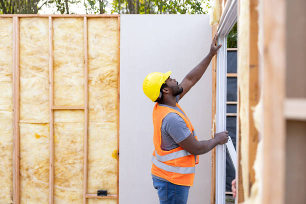 Best Insulation Inspection Services  in Rendon, TX