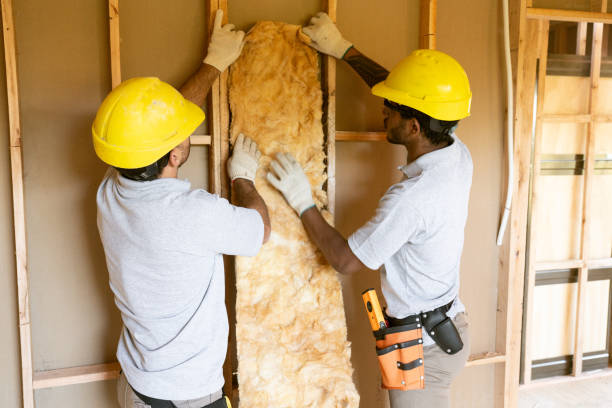 Insulation for Commercial Buildings in Rendon, TX