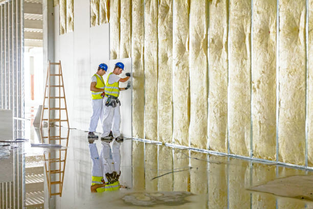 Best Blown-in Insulation  in Rendon, TX